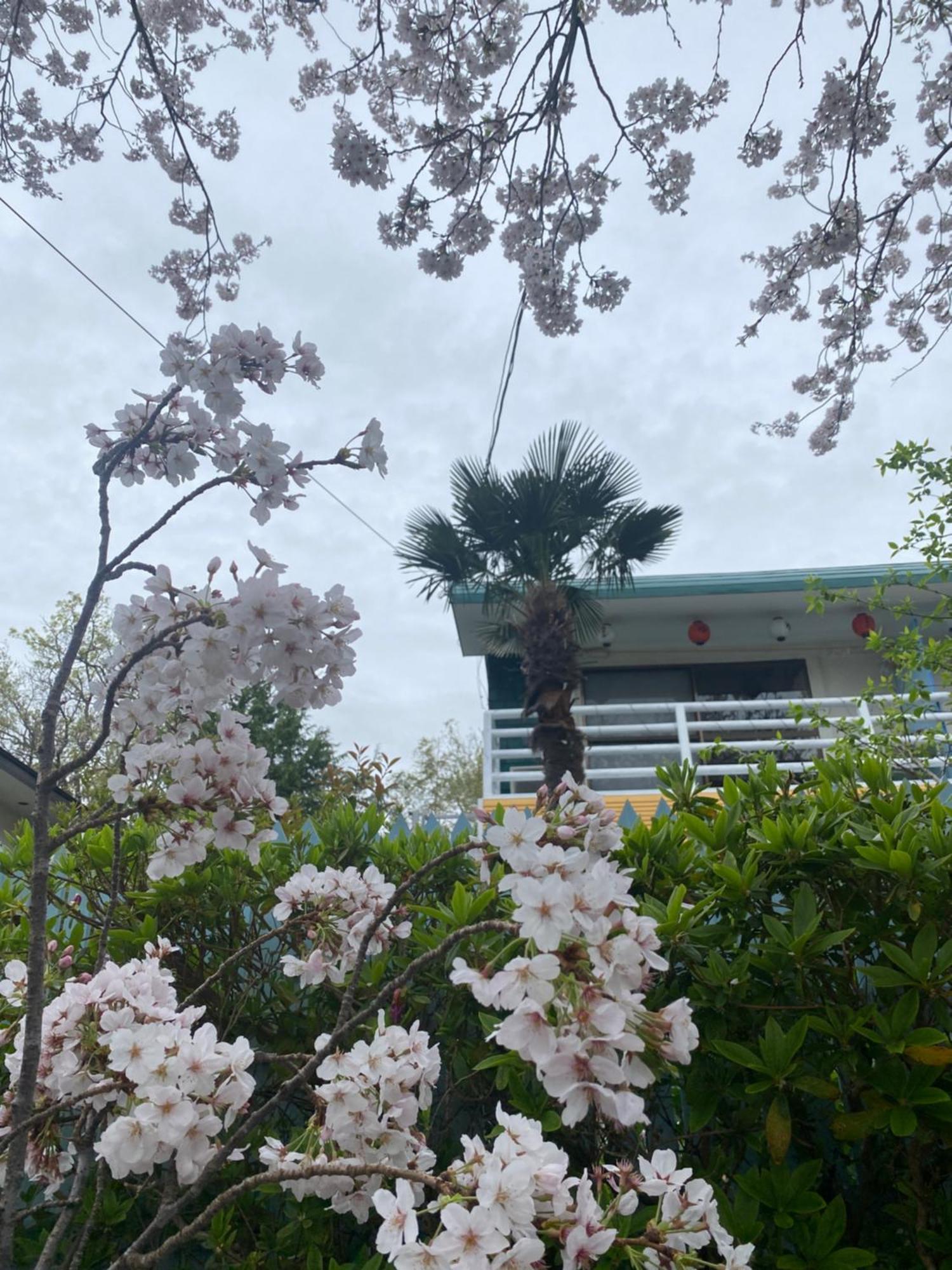 Hanamizuki Onsen Resort Ito  Luaran gambar