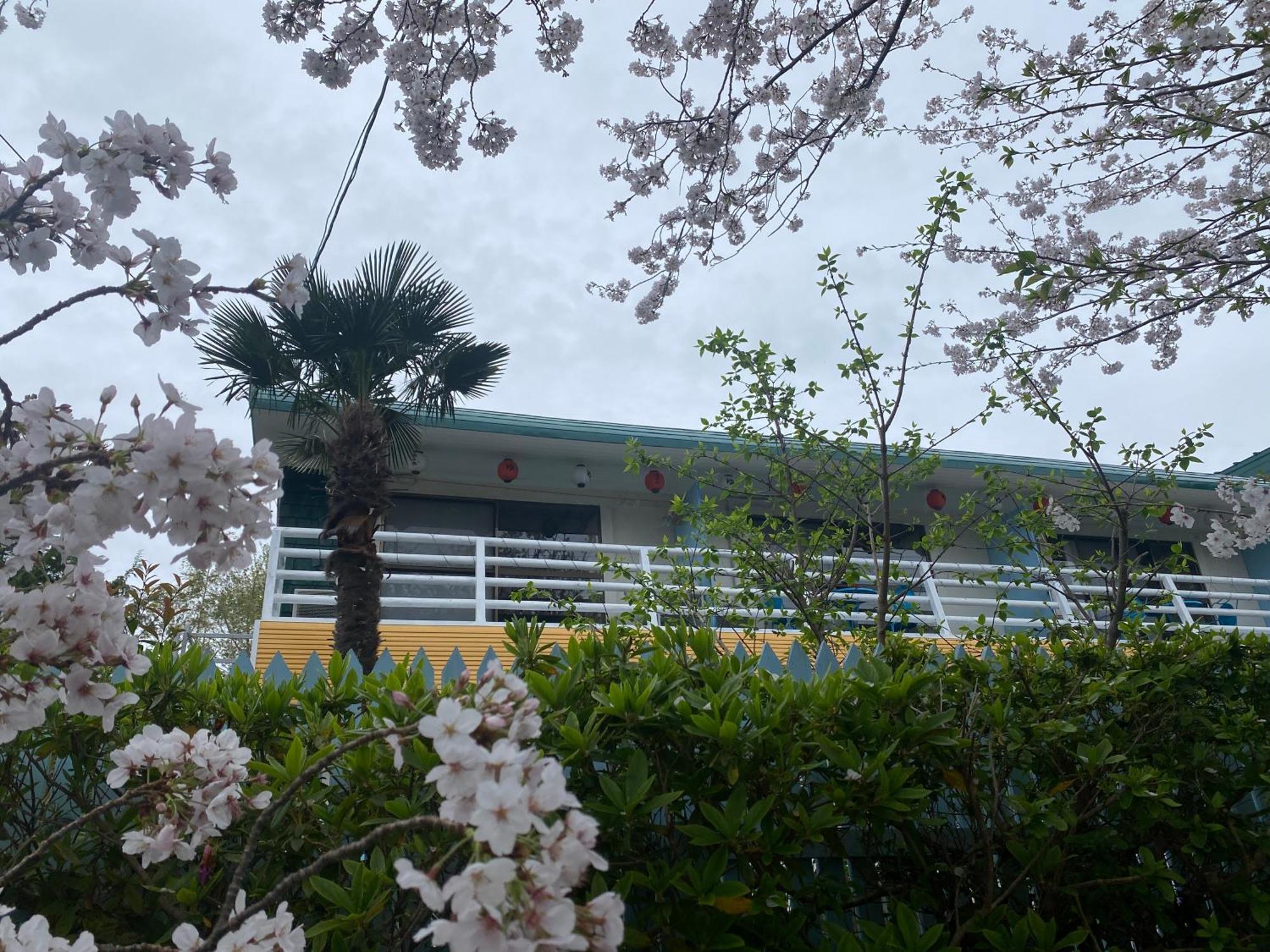 Hanamizuki Onsen Resort Ito  Luaran gambar
